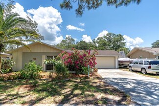 1293 S Disston Ave, Tarpon Springs, FL 34689