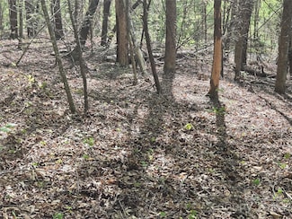 Lot 172 W Lake Dr N, Lake Lure, NC 28746