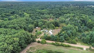 305 55th St, Grand Junction, MI 49056