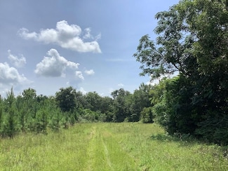0 Damascus Hwy, Damascus, GA 39841
