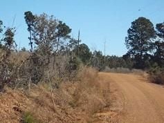 0 Conrad Cathy Rd, Many, LA 71449