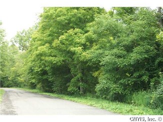 000 Sportsmans Club Rd, Solon, NY 13101