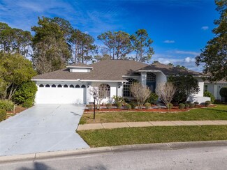 11252 Windrush Cir, Hudson, FL 34667