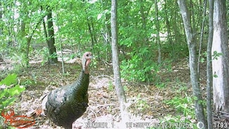 0 Lee's Mill Rd, Victoria, VA 23974