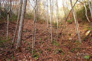 TBD Rector Branch Rd Unit 4, Marshall, NC 28753