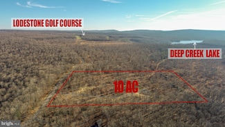 10 AC Shingle Camp Rd, Sang Run, MD 21541