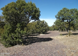 57 County Road N8060 --, Concho, AZ 85924