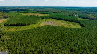 0 Hudson Ferry Rd & Newington Hwy Unit 10621652, Newington, GA 30446