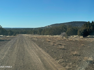 #5 Skyline Ranch -- Unit 5, Vernon, AZ 85940
