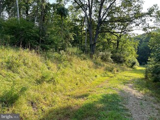 0 Tupelo Loop Unit 19649949, Springfield, WV 26763