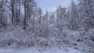 48609 S Tussle Cir, Willow, AK 99688