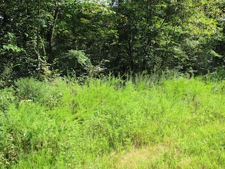 0 Sycamore Landing Rd, Waverly, TN 37185