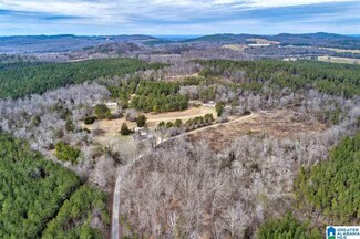 620 Chief Albert Rd, Blountsville, AL 35031