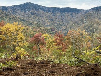 lot 19 Catawba Ridge, Maggie Valley, NC 28751