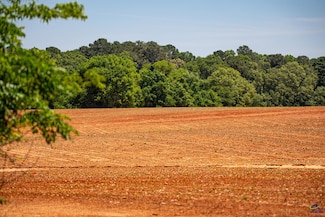 0 Georgia 230, Pinehurst, GA 31070