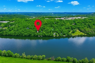 000 Palasade Ct, Forsyth, MO 65653