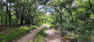 1911 Lorena St, Inverness, FL 34453