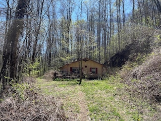 239 Laurel Dr, Whittier, NC 28789