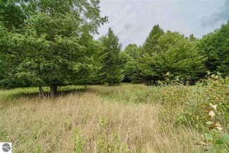 0 Valleyview Drive Parcels 10 & 11 Unit 1880386, Onekama, MI 49675