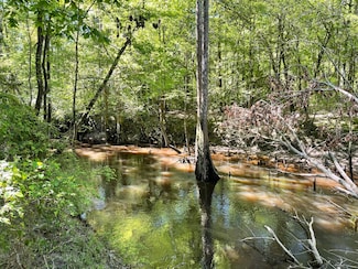 00 Dykes Chapel Rd, Richton, MS 39476