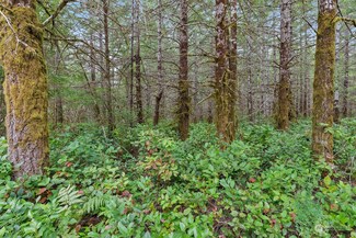 0 TR 3 E Webb Hill Rd, Union, WA 98592