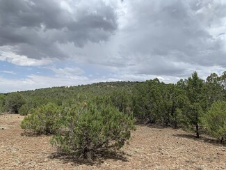 23 N3127, Vernon, AZ 85940