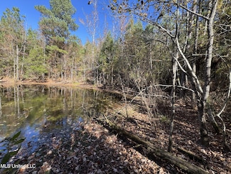 0 Highway 16 W, de Kalb, MS