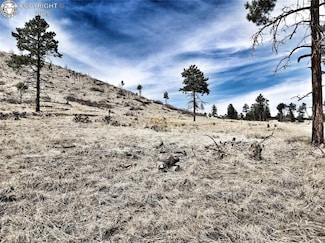 377 Color Sweet Dr, Cotopaxi, CO 81223