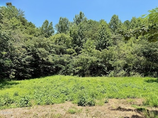 Lot 0000 Ogle Dr, Pigeon Forge, TN 37863