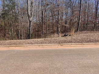 866 Ski Spray Point, Opelika, AL 36804