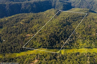 15793 Black Prince Rd, Pioneer, CA 95666