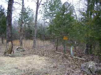 XXX Doe Run Cir, Strawberry Township, AR 72576