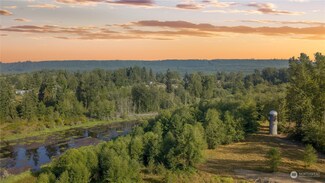 29409 152nd Ave E, Graham, WA 98338