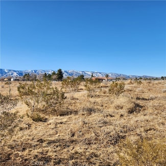 0 Coyote Rd, Phelan, CA 92371
