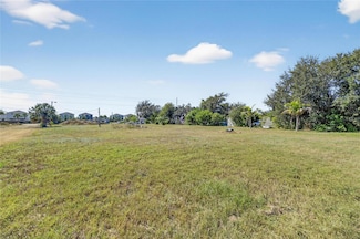 11734 Rhodine Rd, Riverview, FL 33579