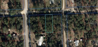 0 NE 67th St Unit MFRGC535387, Bronson, FL 32621