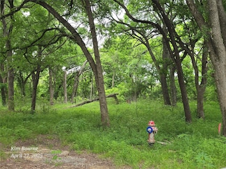 187 Quail Haven St, Alvarado, TX 76009