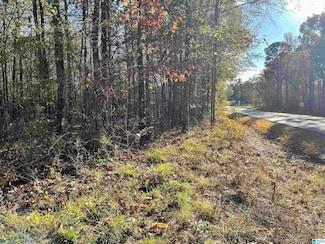 0 Old Coal City Rd Unit 21436435, Pell City, AL 35125