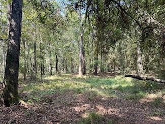 TBD Stonetown Rd, Beaumont, TX 77713