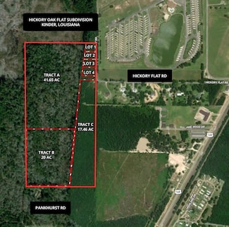 0 Hickory Flat Rd, Kinder, LA 70648
