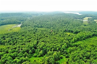 0 Mitchel Rd, Bethel, NY 12786