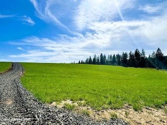 NKA Butte Lane Lot 2, Plummer, ID 83851