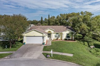 8529 Royal Hart Dr, New Port Richey, FL 34653