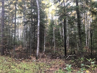 TBD Highway 5, Cook, MN 55723