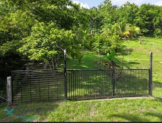 0 Calle Reinita, Moca, PR 00676