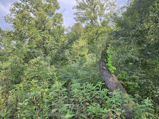 25.2 Acres Spring City Hwy, Rockwood, TN 37854