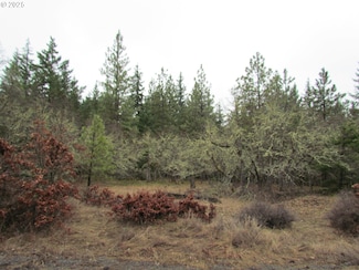 55 Bertha North Orchard Rd, Lyle, WA 98635