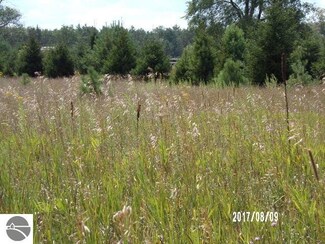 0000 8 Rd, Mesick, MI 49668