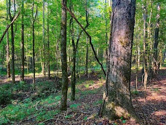 3050 James Dr NW, Wesson, MS 39191