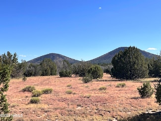 1240 E Utopia Trail, Red Lake, AZ 86046